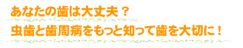 あなたの歯は大丈夫？虫歯と歯周病をもっと知って歯を大切に！