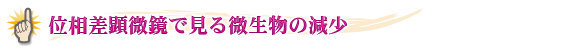 位相差顕微鏡で見る微生物の減少